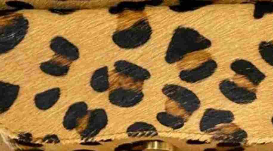 Leopard print hairon leather